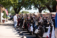 Golf Carts Lined Up