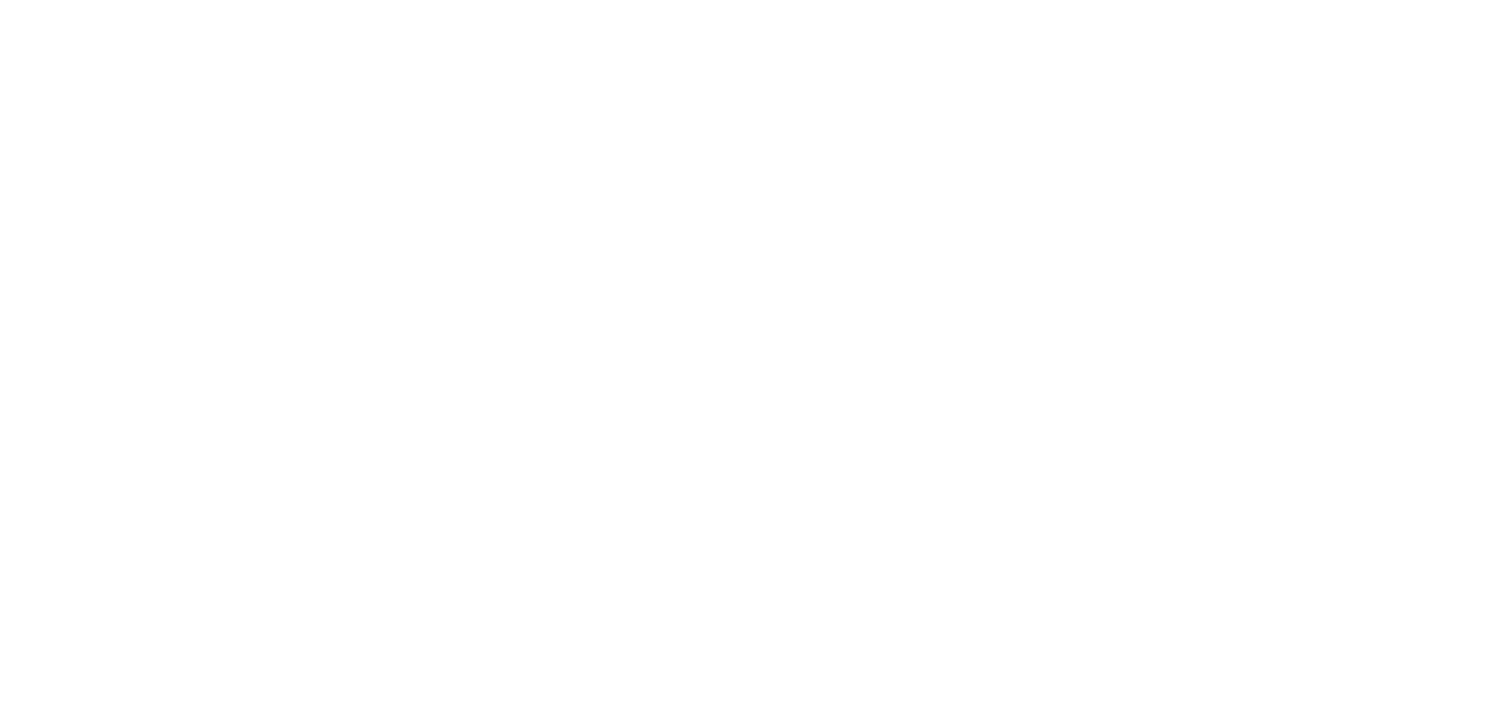 DFW_Inc_white.png