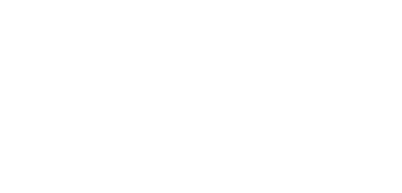 Dallas Fort Worth White Logo